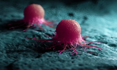 Nghiên cứu: Biến khối u thành thịt lợn để điều trị ung thư